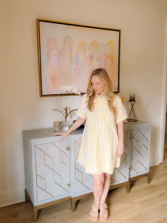 Gingham Shirt Dress